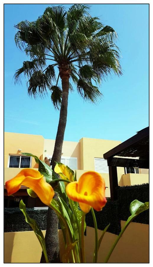 Appartamento Lur De La Playa Corralejo Esterno foto
