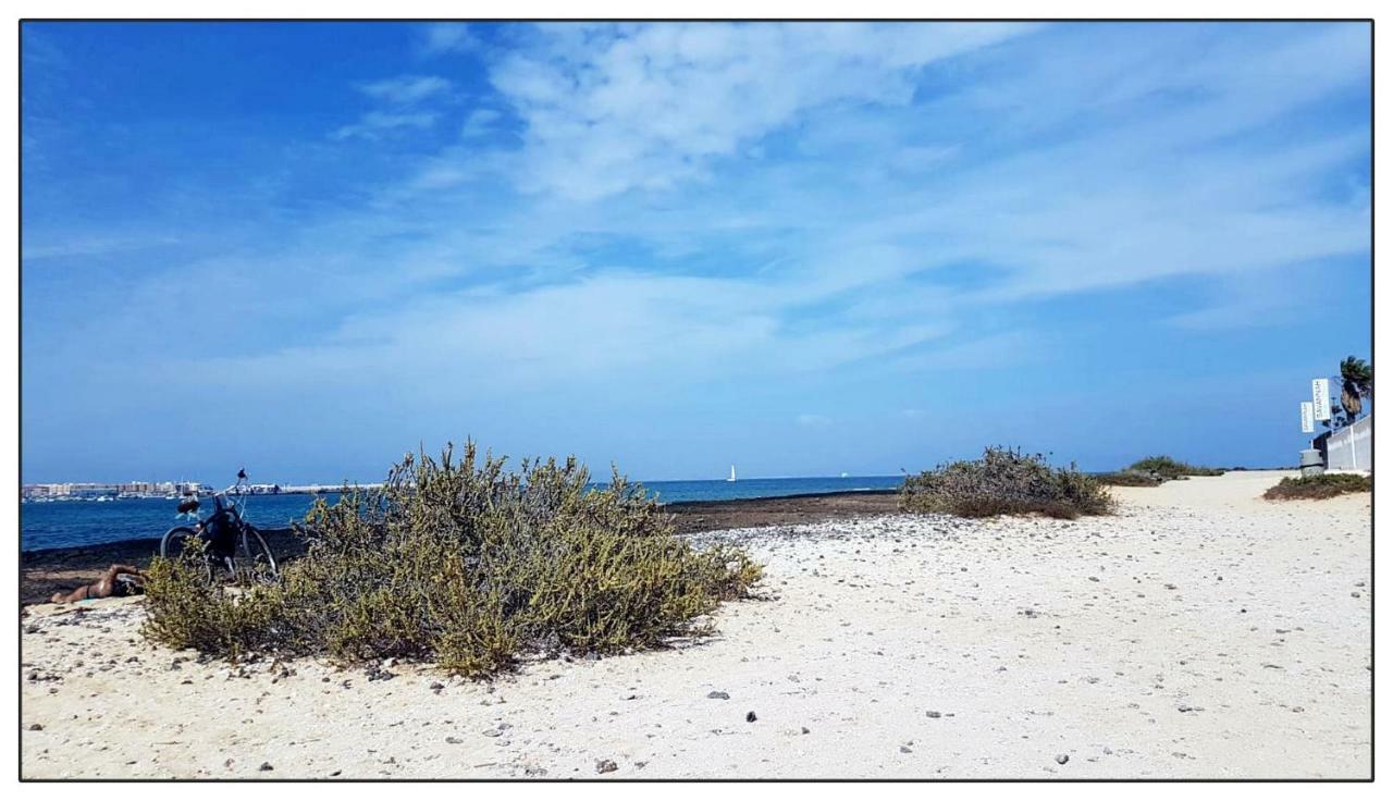 Appartamento Lur De La Playa Corralejo Esterno foto